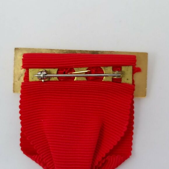 1996 Republican National Convention Alternate Delegate Badge RNC Pin Bob Dole - Picture 5 of 8